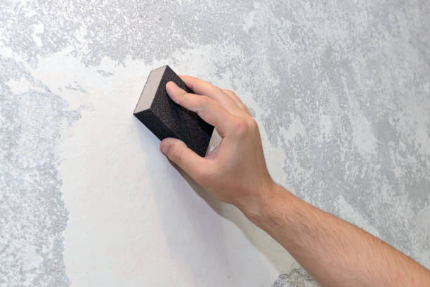 Mold Odor Removal Services in Woodville, CA