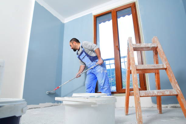 Woodville, CA Mold Removal Company