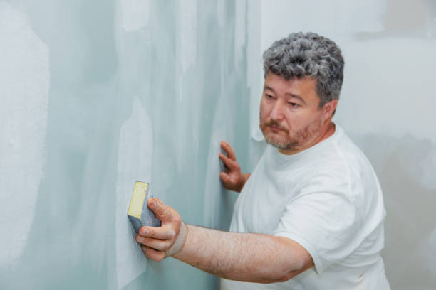 Best Black Mold Removal  in Woodville, CA